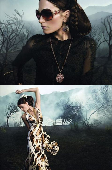 cavalli2.jpg